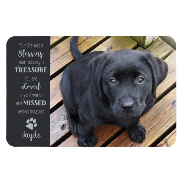 Magnet Flexible Photo pour animaux de compagnie - Photo pour chien (Horizontal)