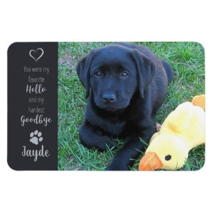 Magnet Flexible Photo pour animaux de compagnie - Photo pour chien