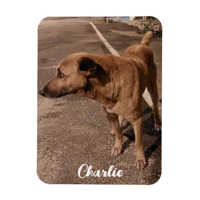 Magnet Flexible Photo simple et moderne (Vertical)