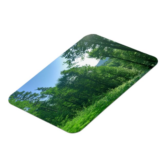 Magnet Flexible Photographie du paysage de la forêt verte (Côté Gauche)