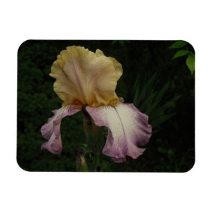Magnet Flexible Photographie florale Iris