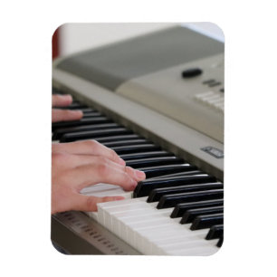 Magnet Flexible Piano cool