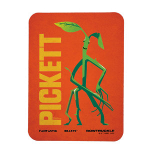 Magnet Flexible Pickett Vintage Graphic