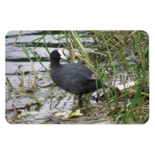 Magnet Flexible Pied sur l'aimant Premium Riverbank