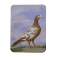 Pigeon porte-pieux rouge (huile sur toile)