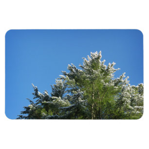 Magnet Flexible Pin à pointes de neige sur le ciel bleu