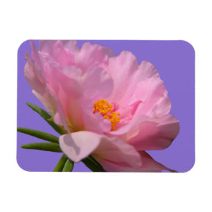 Magnet Flexible Pink Peony