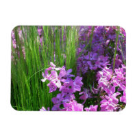 Pink Phlox et Grass été Floral