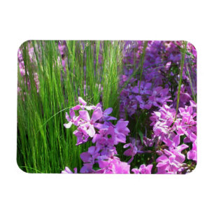 Magnet Flexible Pink Phlox et Grass été Floral