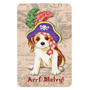 Magnet Flexible Pirate de Cavalier