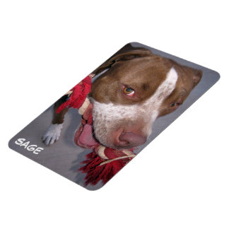 Magnet Flexible Pitbull pas cher