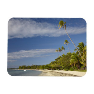 Magnet Flexible Plage et palmiers, Plantation Island Resort