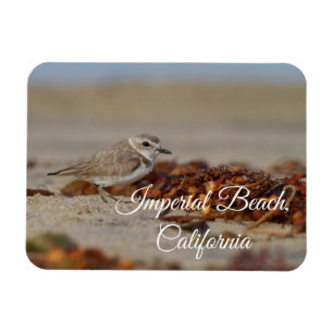 Magnet Flexible Plage impériale de Plover et d'algues, Californie
