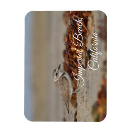 Magnet Flexible Plage impériale de Plover et d'algues, Californie