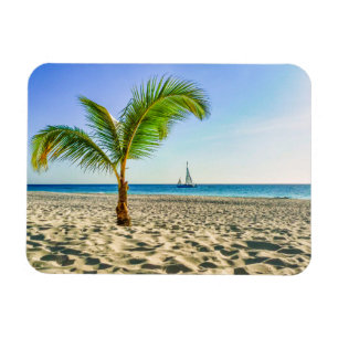 Magnet Flexible Plages tropicales   Bateau, Palmier, Aruba