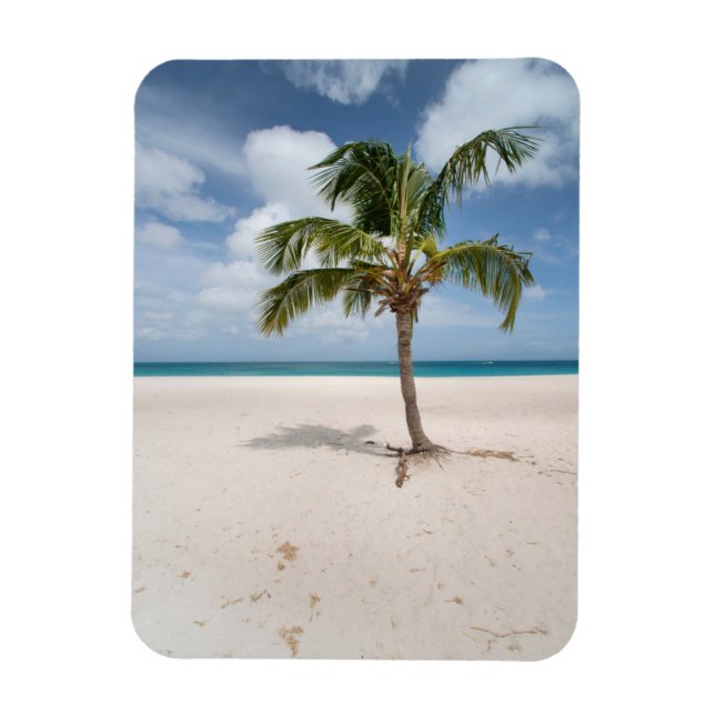 Magnet Flexible Plages tropicales | Eagle Beach, Aruba (Vertical)