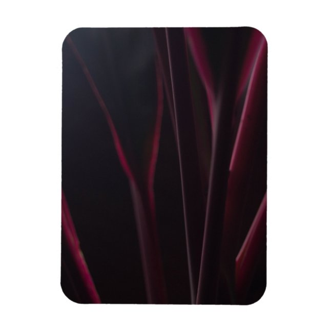 Magnet Flexible Plante Hawaïen Ti (Vertical)