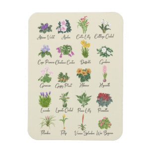 Magnet Flexible Plantes intérieurs et leurs noms - Cadeaux amoure