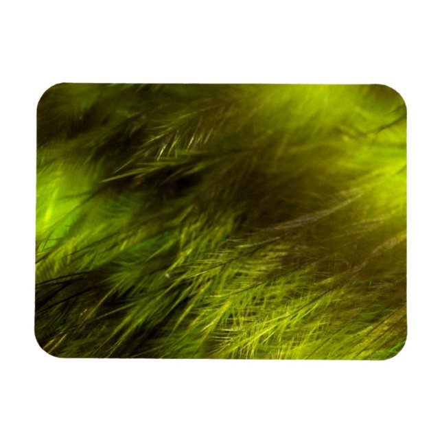 Magnet Flexible Plumes jaunes (Horizontal)