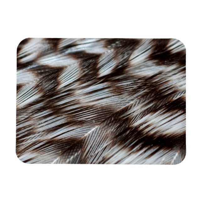 Magnet Flexible Plumes noires et blanches en détail (Horizontal)