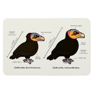 Magnet Flexible plus grand v Jaune-dirigé moins