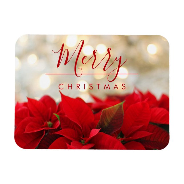 Magnet Flexible Poinsettias rouges avec Golden Bokeh Noël (Horizontal)