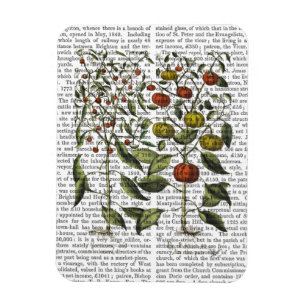 Magnet Flexible Poivrons 4