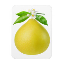 Pomelo sur une branche
