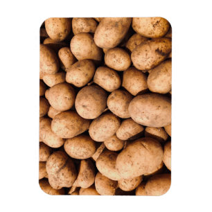 Magnet Flexible Pomme de terre