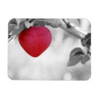 Pomme en forme de coeur rouge dramatique