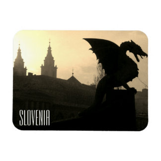 Magnet Flexible pont dragon slovenia