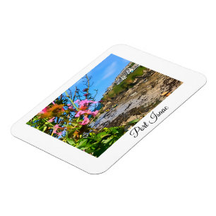 Magnet Flexible Port Isaac Cornwall Harbour Friends