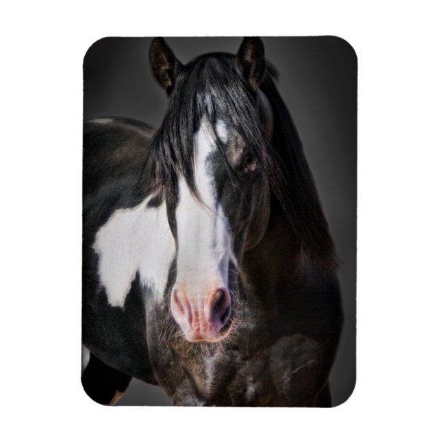 Magnet Flexible Portrait de cheval II (Vertical)