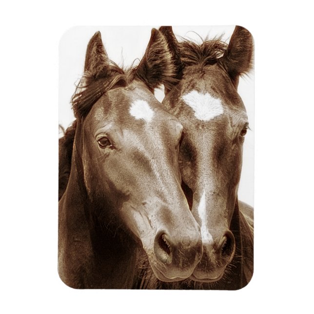 Magnet Flexible Portrait de cheval III (Vertical)