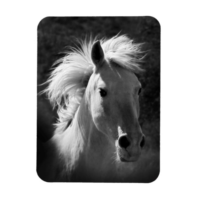 Magnet Flexible Portrait de cheval V (Vertical)