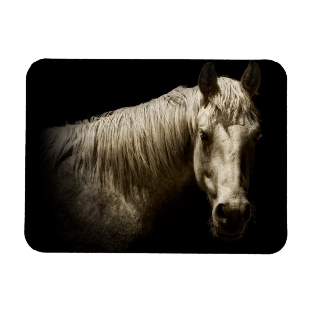 Magnet Flexible Portrait de cheval VI (Horizontal)