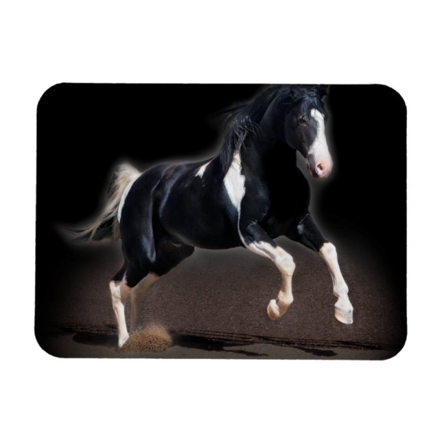 Magnet Flexible Portrait de cheval VIII (Horizontal)