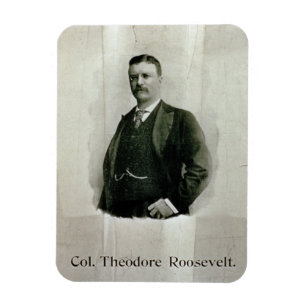 Magnet Flexible Portrait de colonel Theodore Roosevelt (litho)