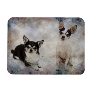 Magnet Flexible Portrait de deux chihuahua