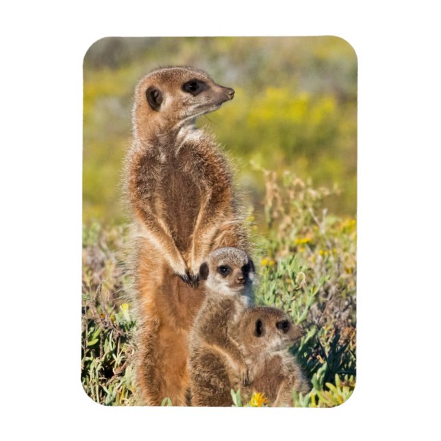 Magnet Flexible Portrait de la famille Meerkat (Vertical)