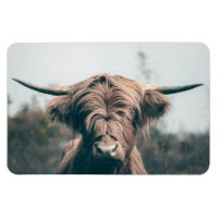 Portrait de vache Highland