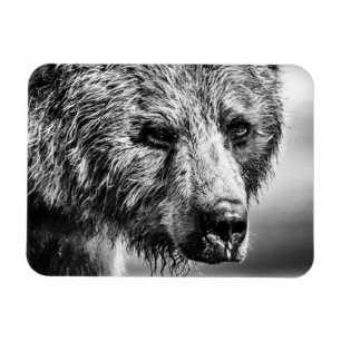 Magnet Flexible Portrait d'ours grizzli