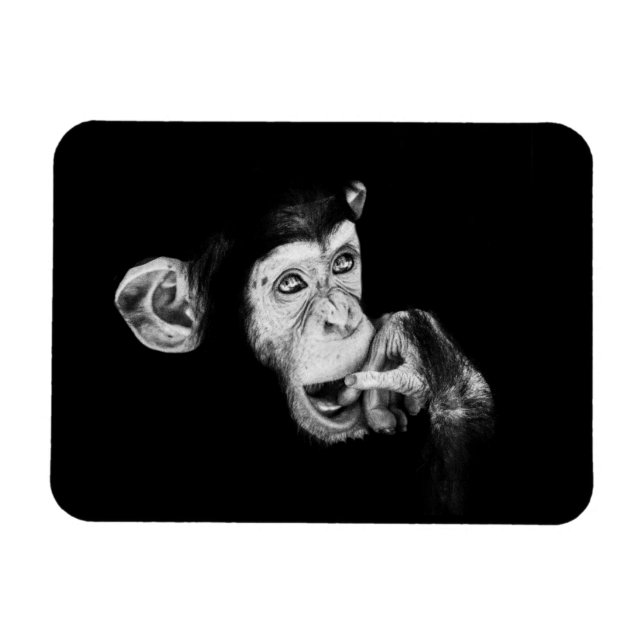 Magnet Flexible Portrait d'un penseur, Chimpanzé (Horizontal)