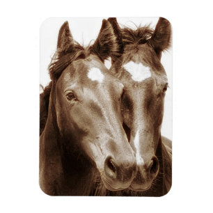 Magnet Flexible Portrait III de cheval
