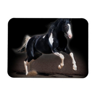 Magnet Flexible Portrait VIII de cheval