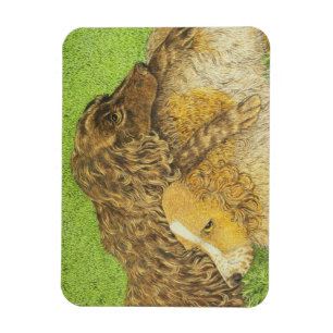 Magnet Flexible Possession