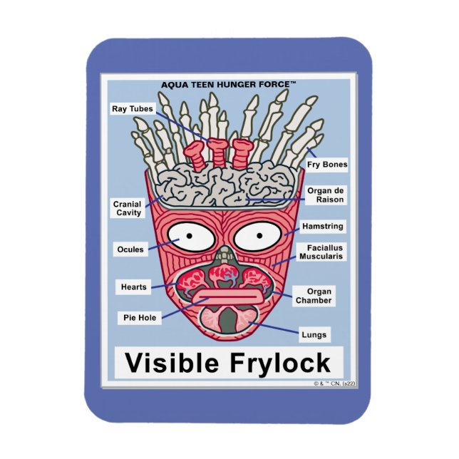 Magnet Flexible Poster de l'Aqua Ado Hunger Force Visible Frylock (Vertical)