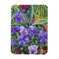 Pots à fleurs avec Pansies 2007