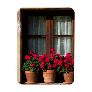 Magnet Flexible Pots de fleurs de fenêtres dans le village