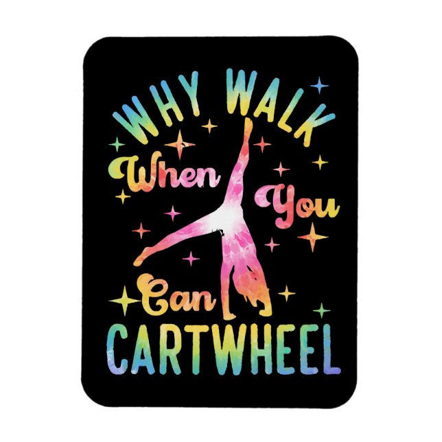 Magnet Flexible Pourquoi Marcher Quand Vous Pouvez Carrousel (Vertical)